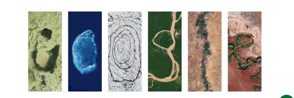 Dan planete Zemlje 2024 Google Doodle