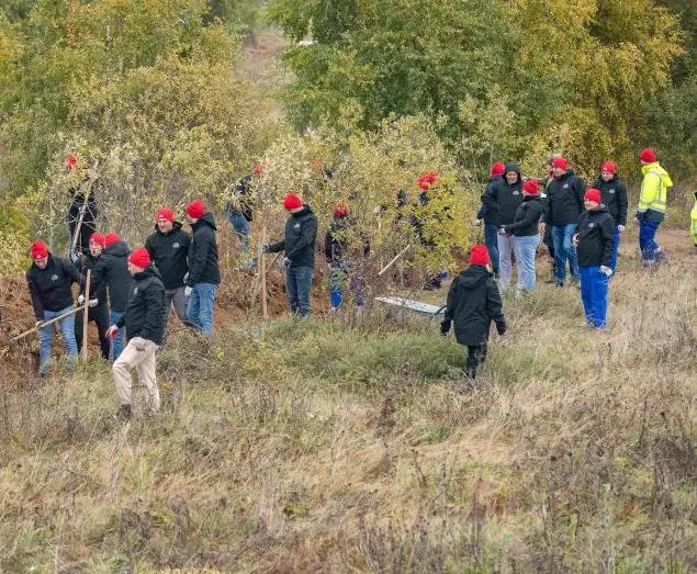 Vlasina-Volonterska-akcija